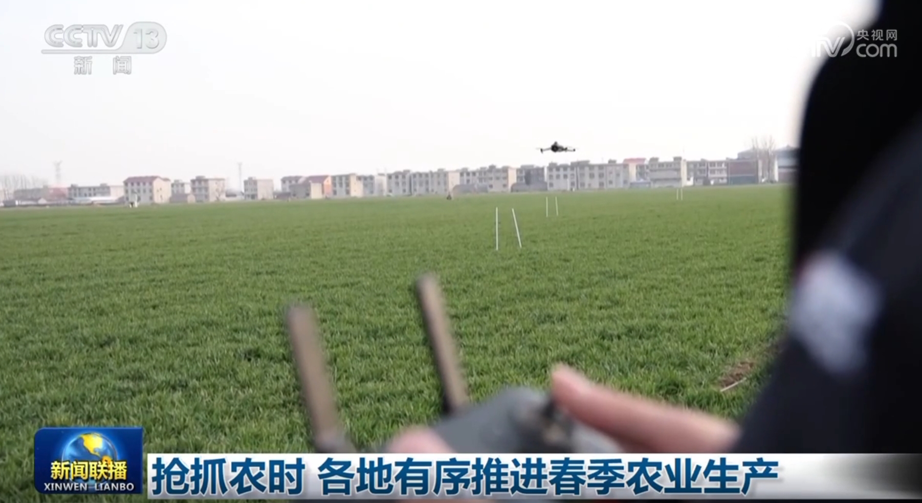 现格外抢眼